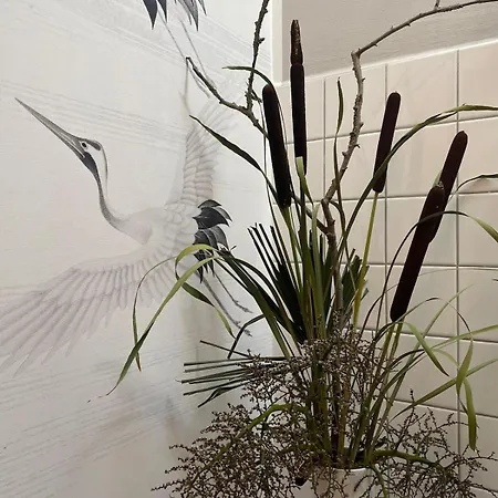 Im Gutshaus Apartment *