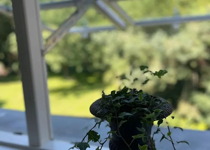 Im Gutshaus Apartmán *